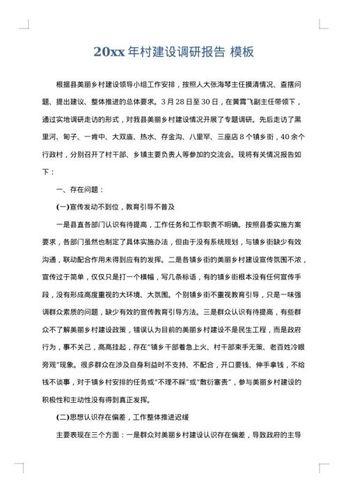 2025年村建设调研报告
