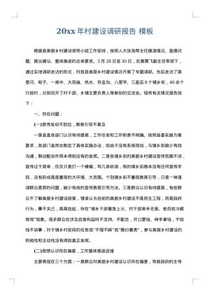 2025年村建设调研报告