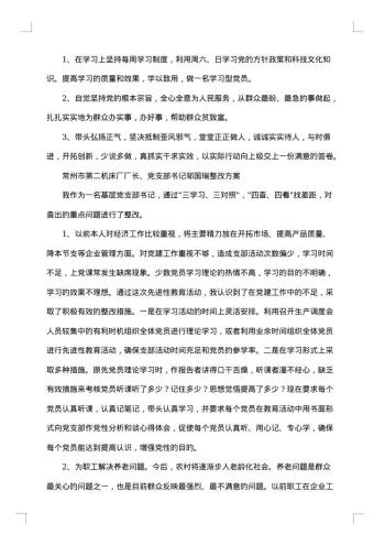 个人整改方案08(村级)