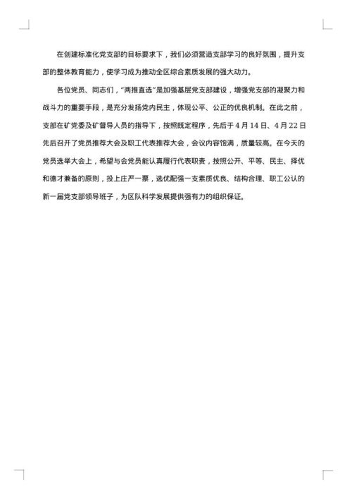 2025年党支部述职报告