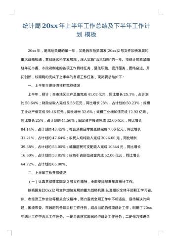 统计局20xx年上半年工作总结及下半年工作计划