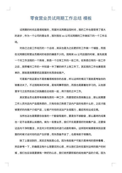零食营业员试用期工作总结
