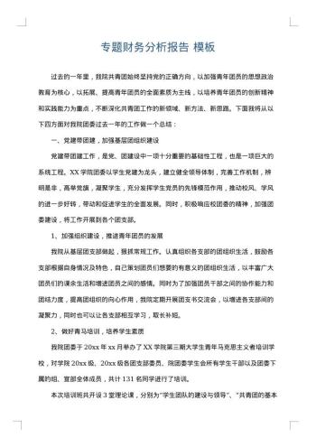 专题财务分析报告
