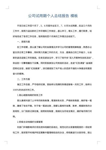 公司试用期个人总结报告