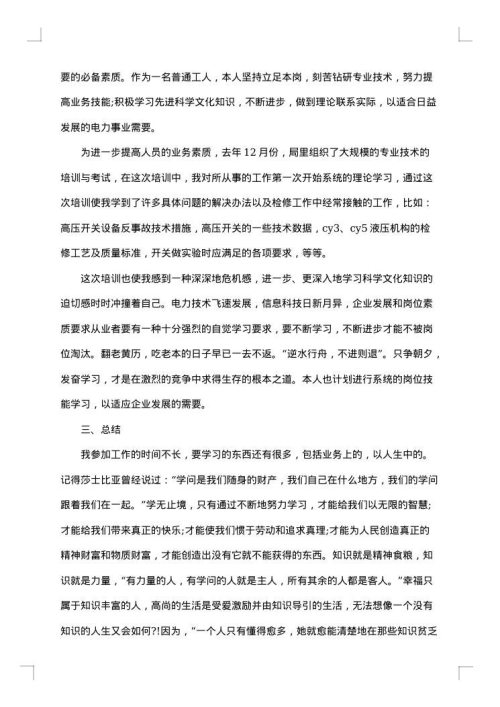 电力技术工作总结
