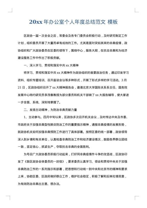 2025年办公室个人年度总结范文