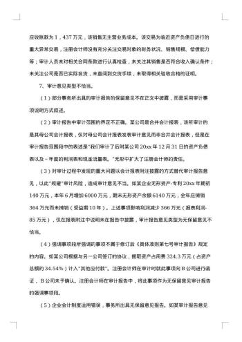 会计师年度工作总结