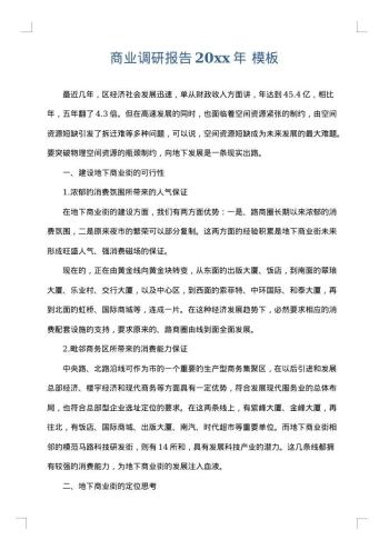 商业调研报告20xx年