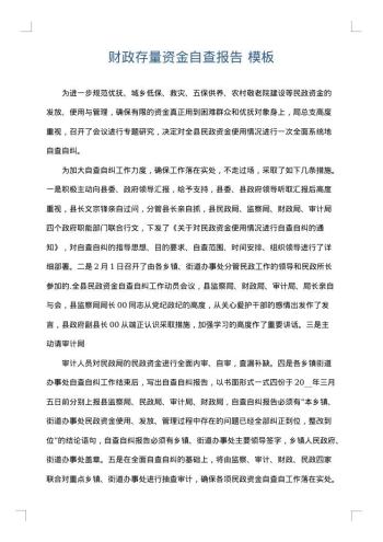 财政存量资金自查报告