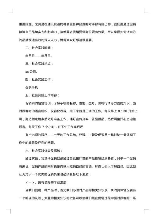 促销社会实践报告