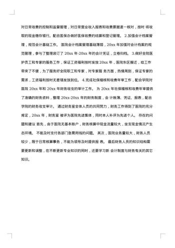 会计年度个人总结