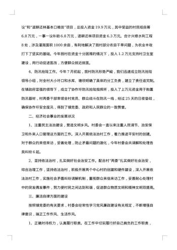 村主任述职述廉报告