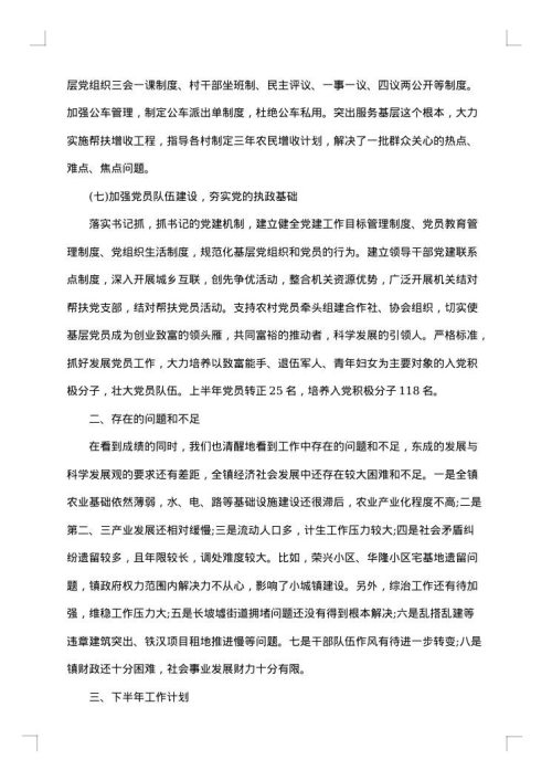 2025年乡镇上半年工作总结