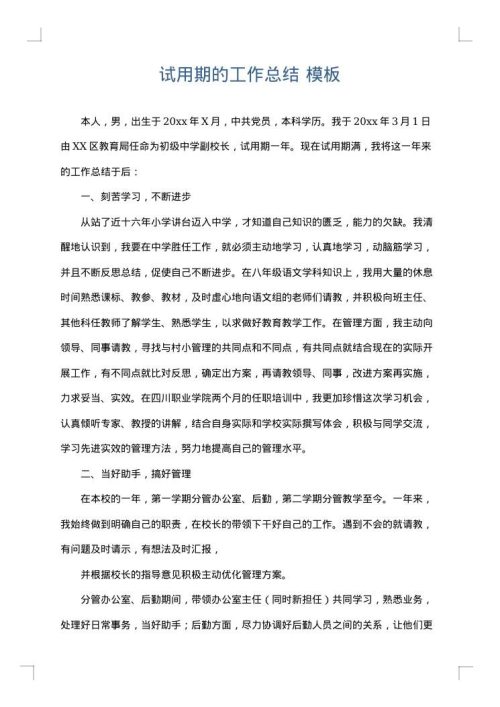 试用期的工作总结