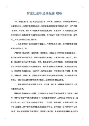 村主任述职述廉报告