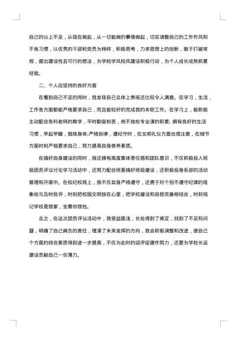 团员工作总结