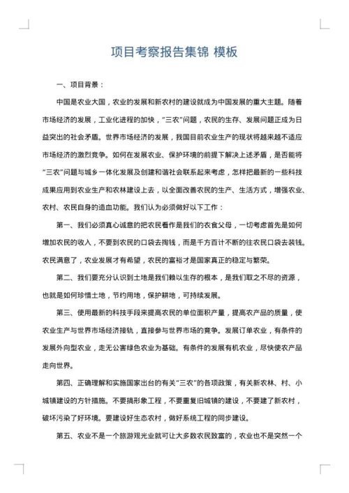 项目考察报告集锦