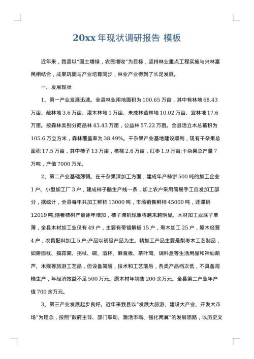 2025年现状调研报告