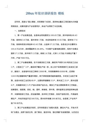 2025年现状调研报告