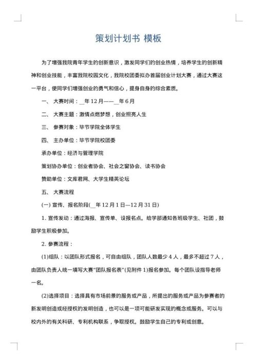 策划计划书