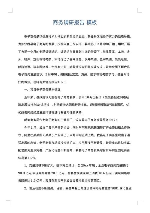 商务调研报告