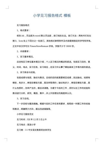 小学见习报告格式