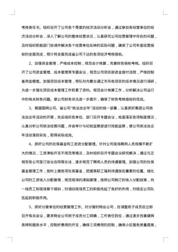 总会计师述职述廉报告