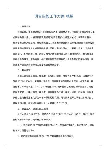 项目实施工作方案