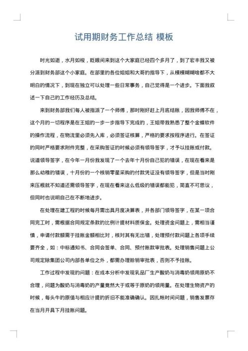 试用期财务工作总结