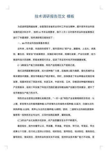 技术调研报告范文