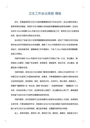 卫生工作会议简报