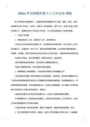 2025年试用期年度个人工作总结