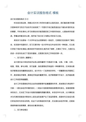 会计实训报告格式