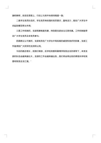 党支部工作总结