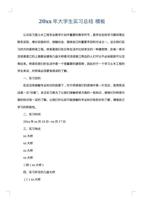 2025年大学生实习总结