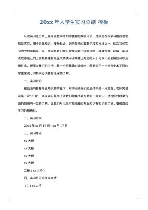 2025年大学生实习总结