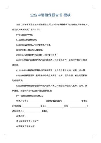 企业申请担保报告书