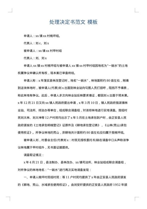 处理决定书范文