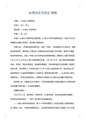 处理决定书范文
