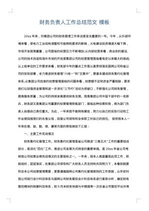 财务负责人工作总结范文