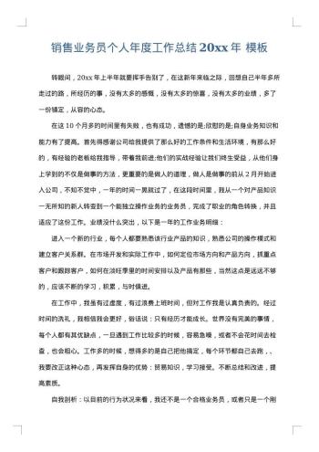 销售业务员个人年度工作总结20xx年