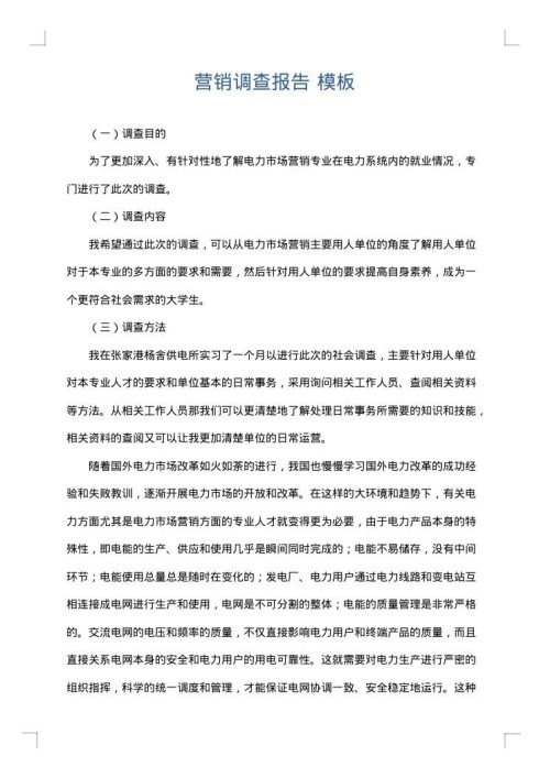 营销调查报告