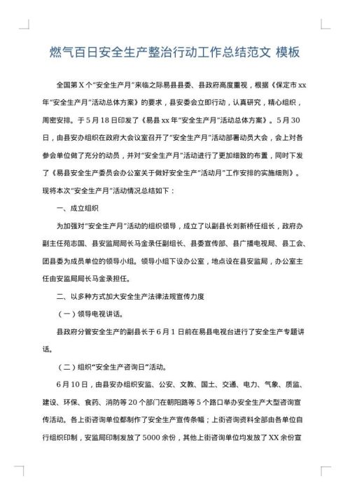 燃气百日安全生产整治行动工作总结范文