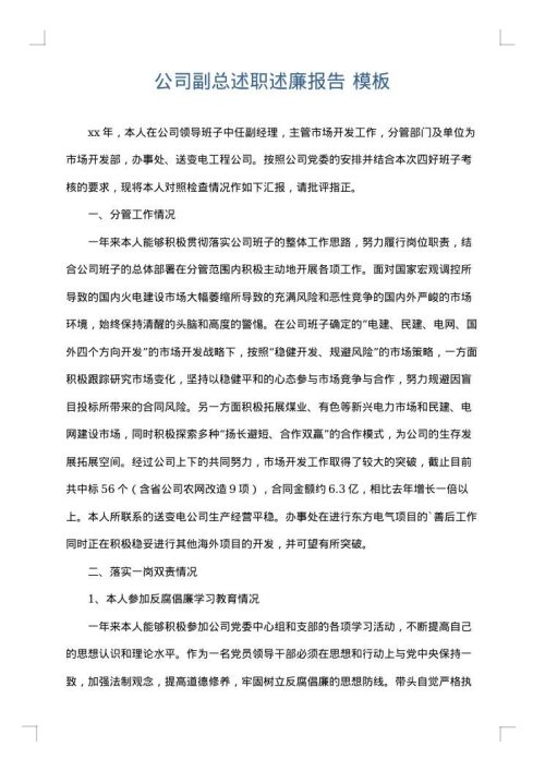 公司副总述职述廉报告