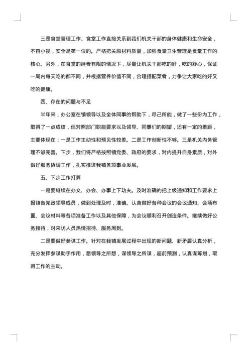 乡镇党政办公室个人年终工作总结范文