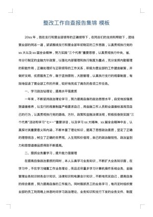 整改工作自查报告集锦