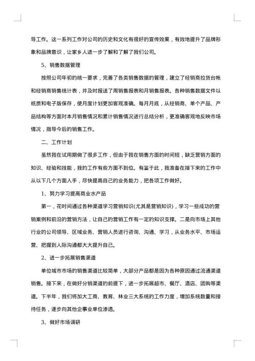 销售试用期总结