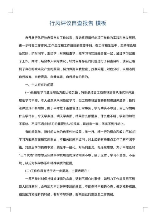 行风评议自查报告