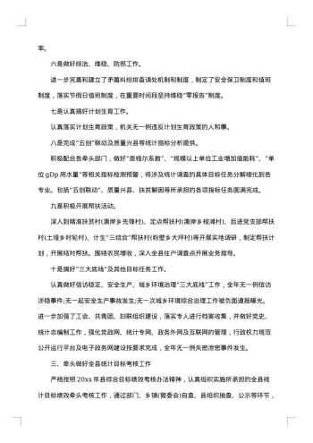 水利统计自查报告