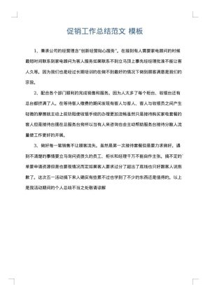 促销工作总结范文